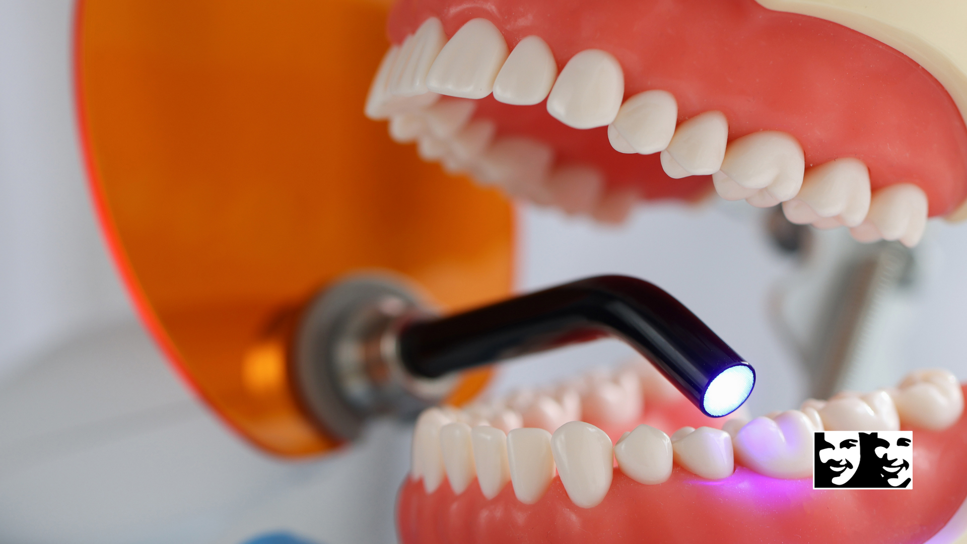 A close up of a dental model with a light on it
