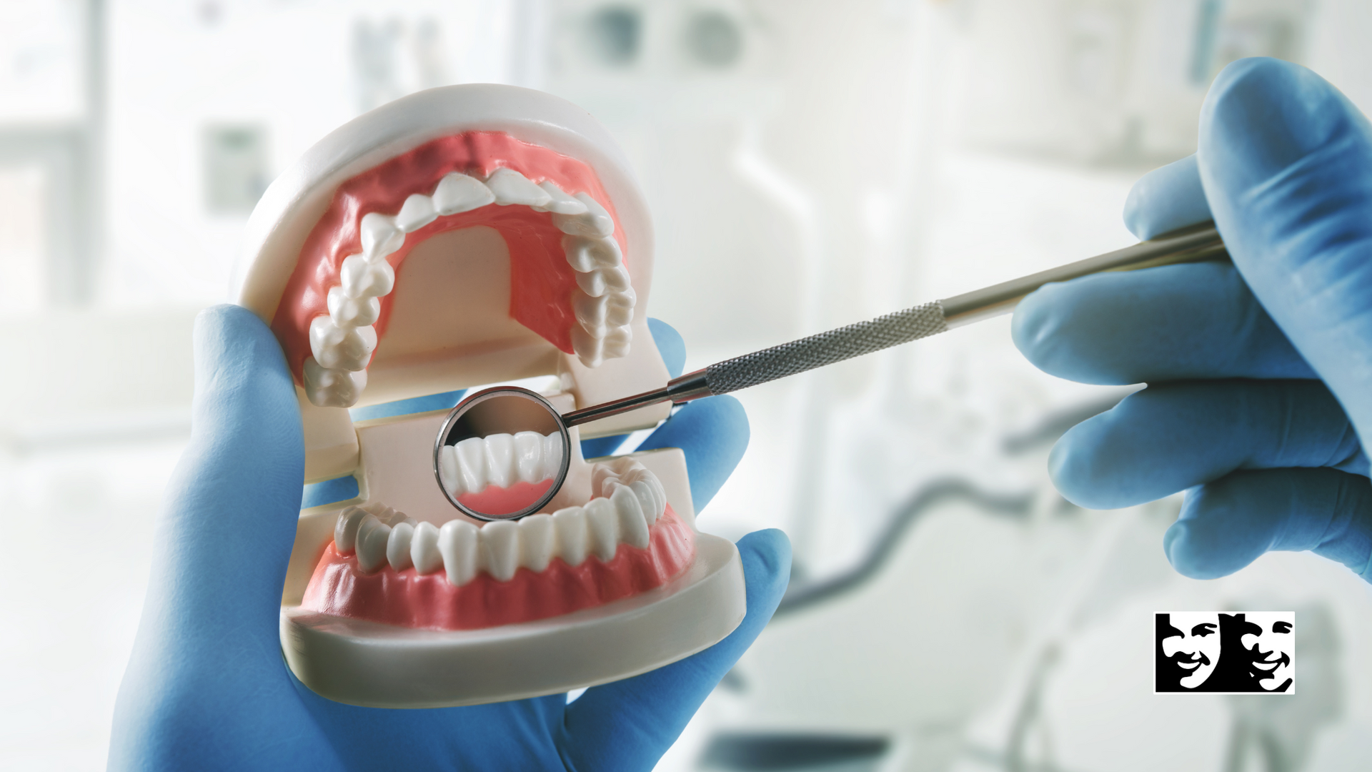 A dentist is examining a model of teeth with a mirror.