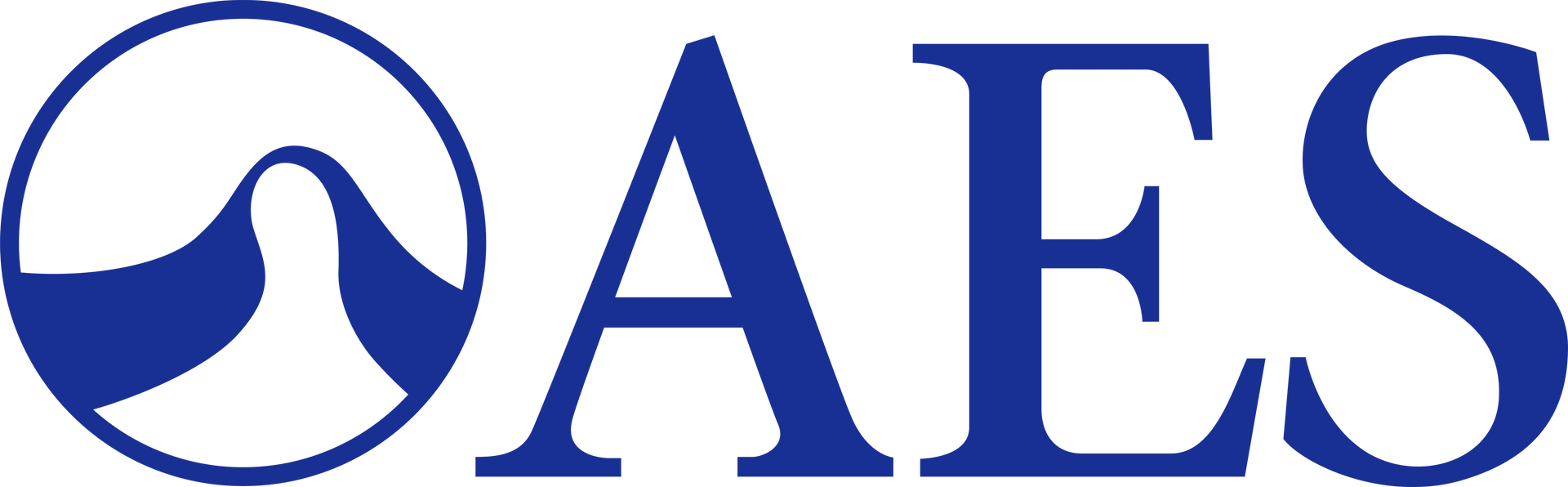 American Equilibration Society Logo | All Smiles Dentistry | Dentist in Lake Jackson, Texas