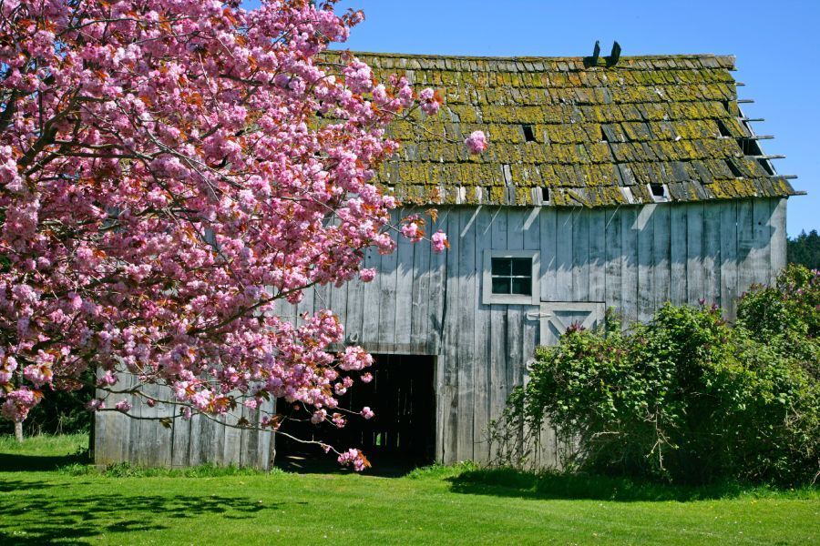 cabin