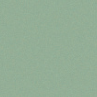 Fond texturé vert clair.