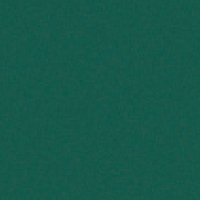 Fond vert uni.