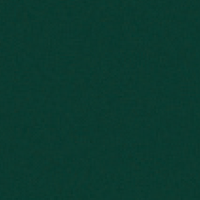 Fond uni vert foncé.