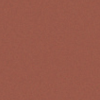 Fond uni de couleur terre cuite avec une surface légèrement texturée.