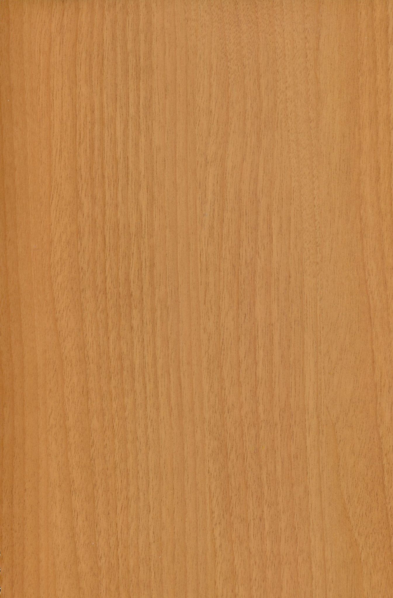 Gros plan du grain du bois brun rougeâtre avec des lignes verticales, probablement un panneau ou une surface en bois.