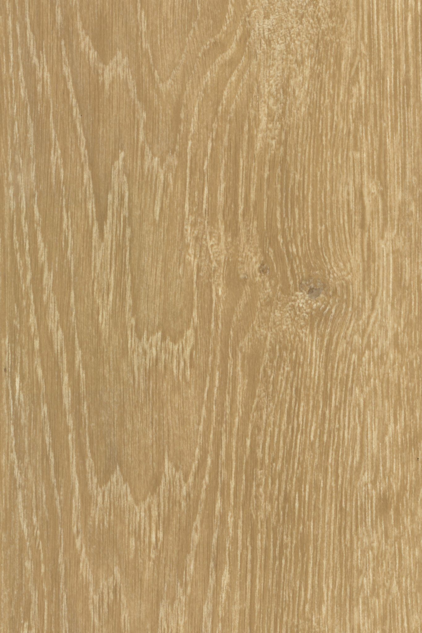 Grain de bois de chêne brun clair avec des lignes verticales et de subtiles variations de ton.