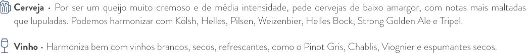 Um fundo branco com algumas linhas de texto.