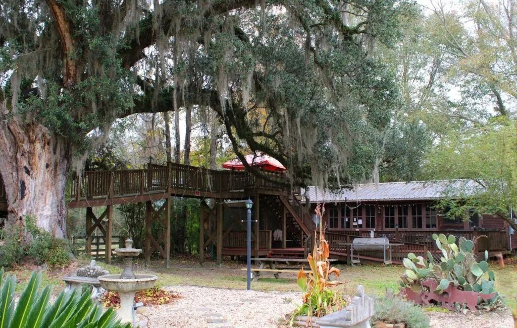 Garden courtyard with rustic wooden building, large trees, and potted plants