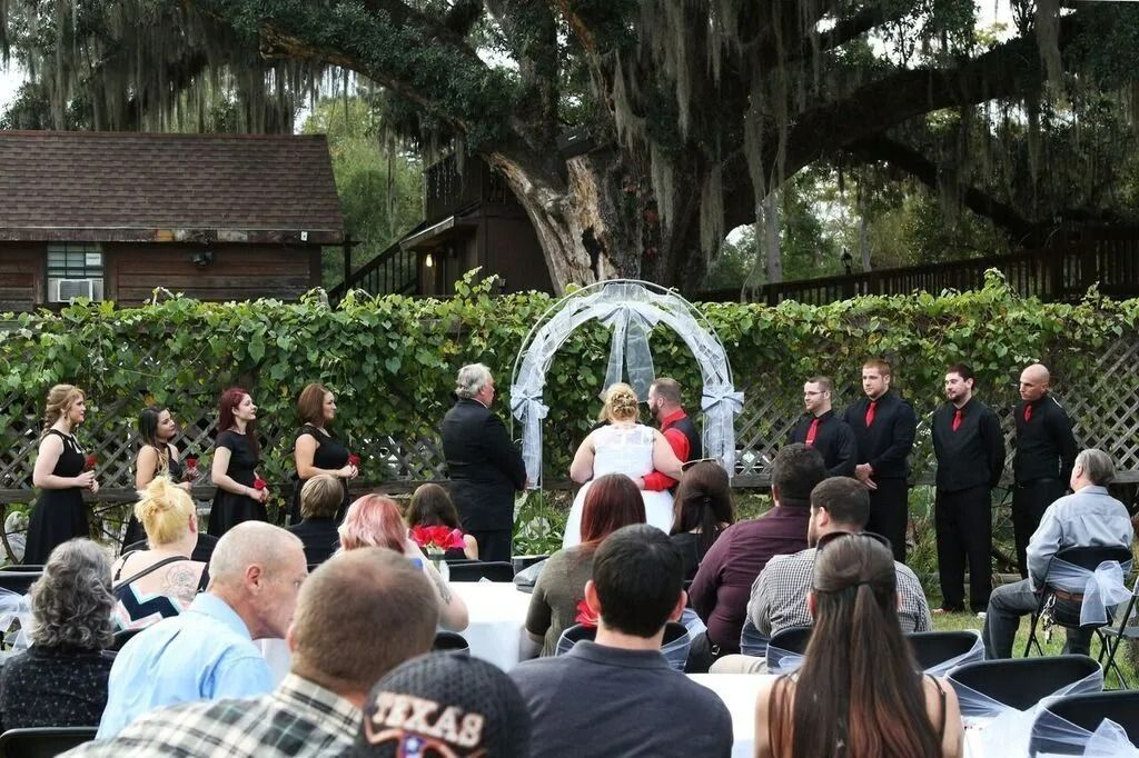 Outdoor wedding ceremony under a large tree with guests seated and couple under a white arch