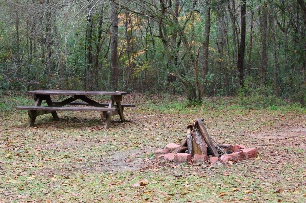 Wooden picnic table beside a small fire pit in a wooded clearing