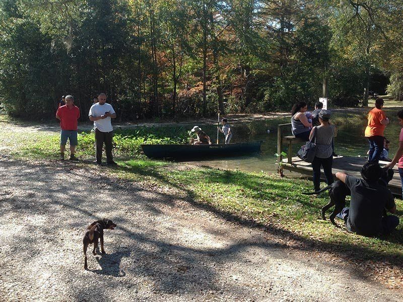 People and dogs gathered in a sunny park near a pond, with one dog standing in the foreground.