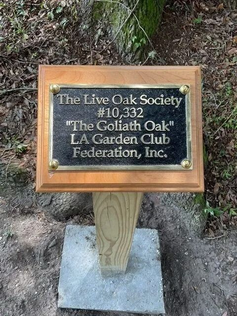 Bronze plaque on wooden post reads “The Live Oak Society #10,332” in a wooded area.