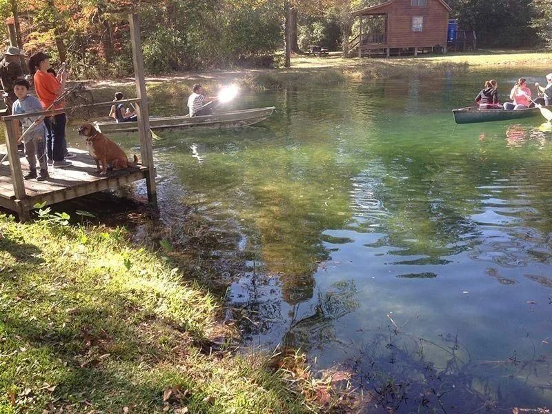 People relaxing on a dock and in small boats on a calm pond beside a wooded shoreline.