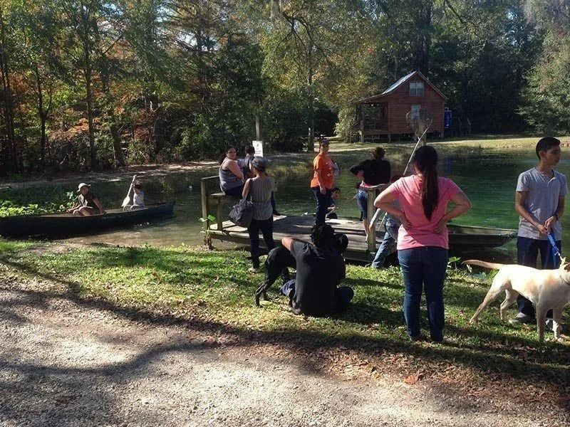 People gathering with dogs in a sunny park near a pond and small red cabin.