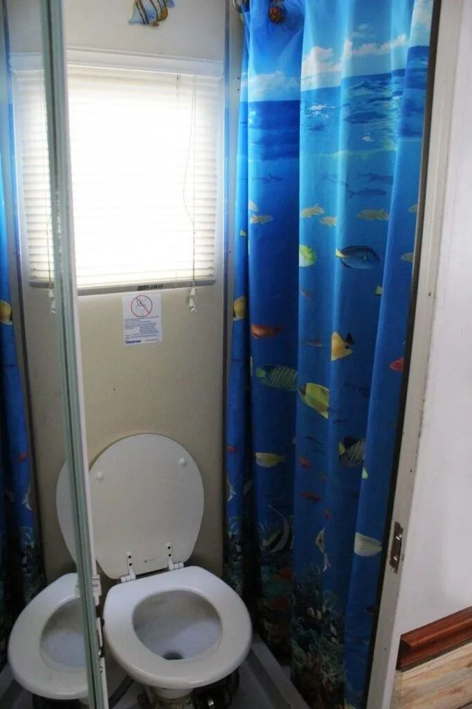 Small bathroom with an open toilet, window, and blue shower curtain.