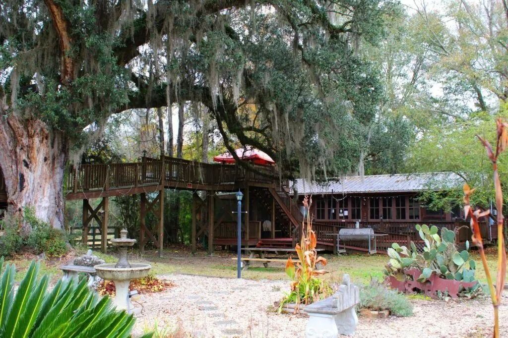 Tropical garden patio with a wooden hut, trees, and potted plants among gravel paths