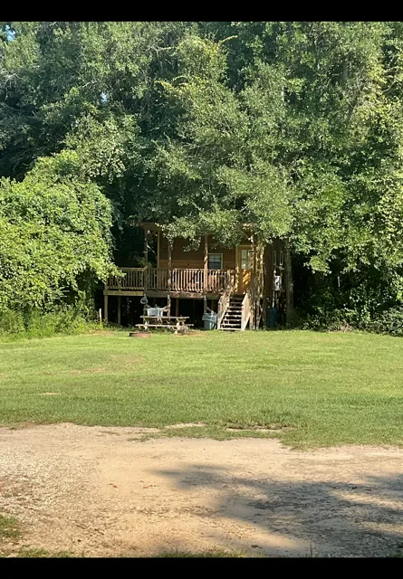 Small wooden cabin tucked in trees behind a grassy lawn and dirt path