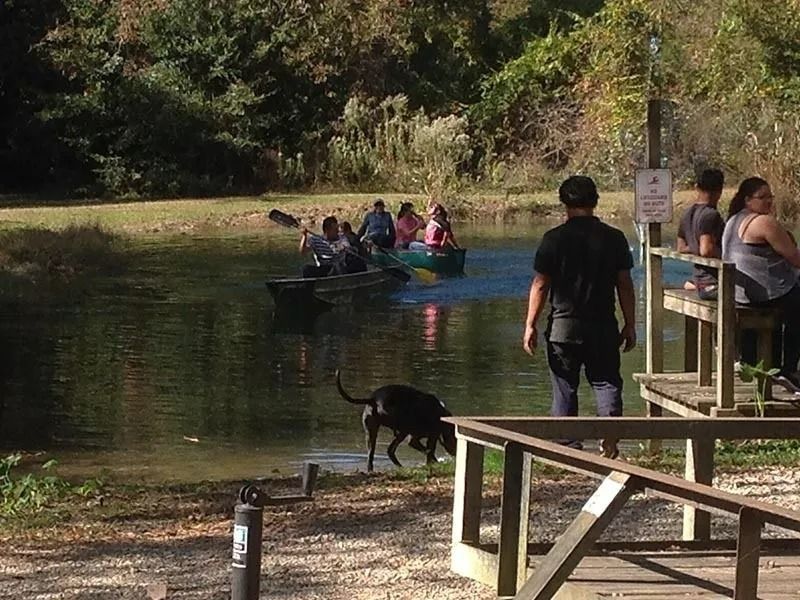 People on a small boat on a pond near a dock, with a dog at the water’s edge.