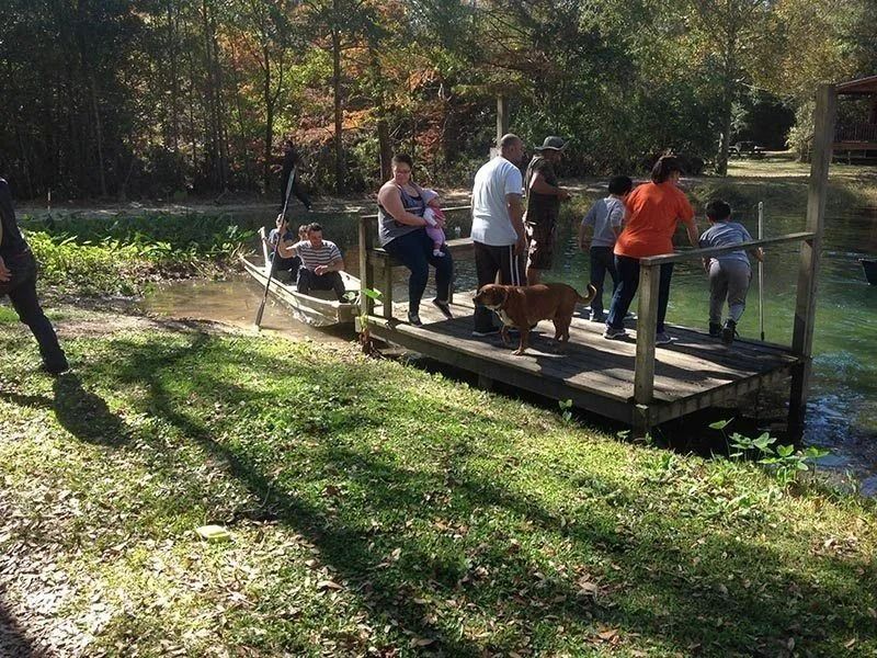People standing on a small wooden bridge in a park by a creek, with a dog nearby.