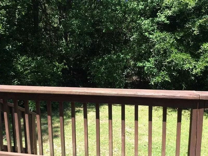 Wooden deck railing overlooking a green backyard with dense trees