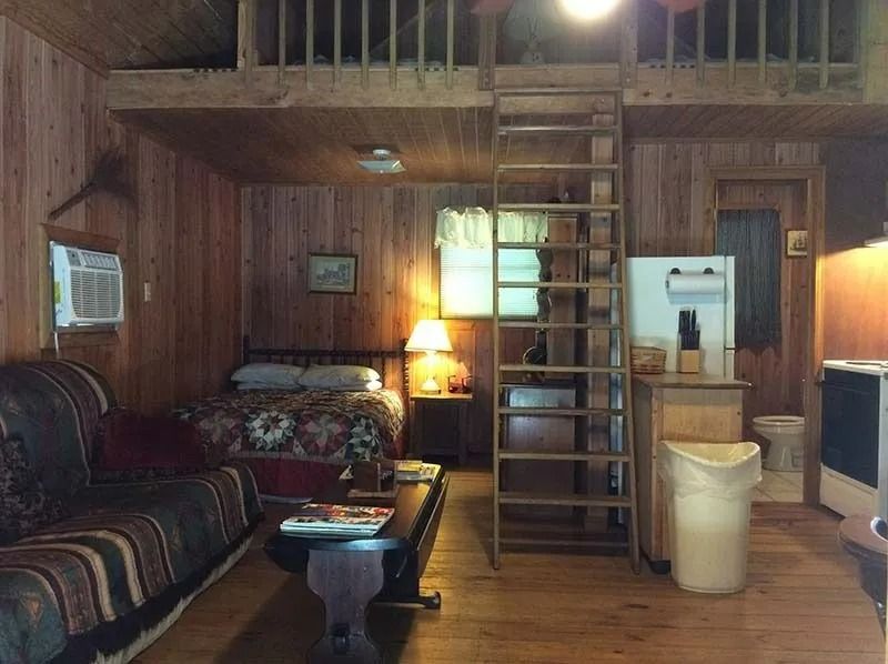 Rustic cabin loft with bed, couch, ladder, lamp, and kitchen area in wood-paneled room.