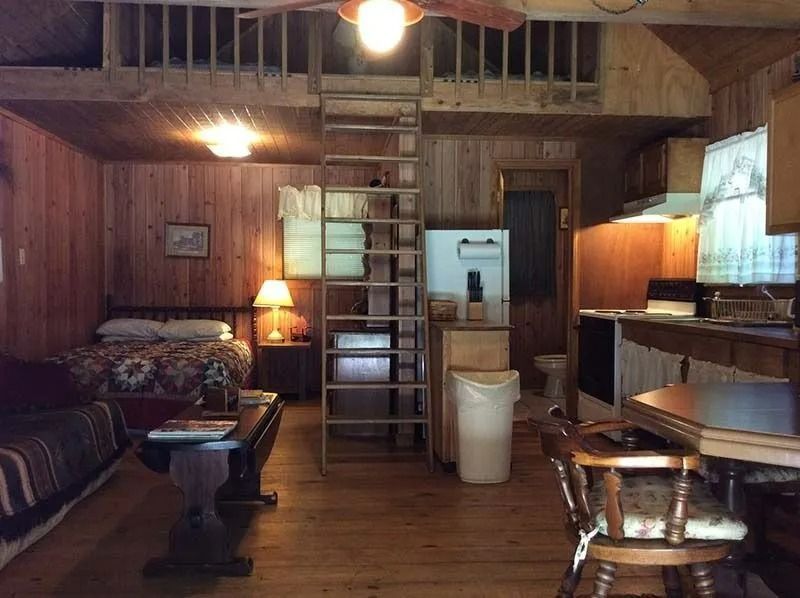 Cozy rustic cabin interior with loft ladder, wood-paneled walls, sofa, dining table, and kitchen area