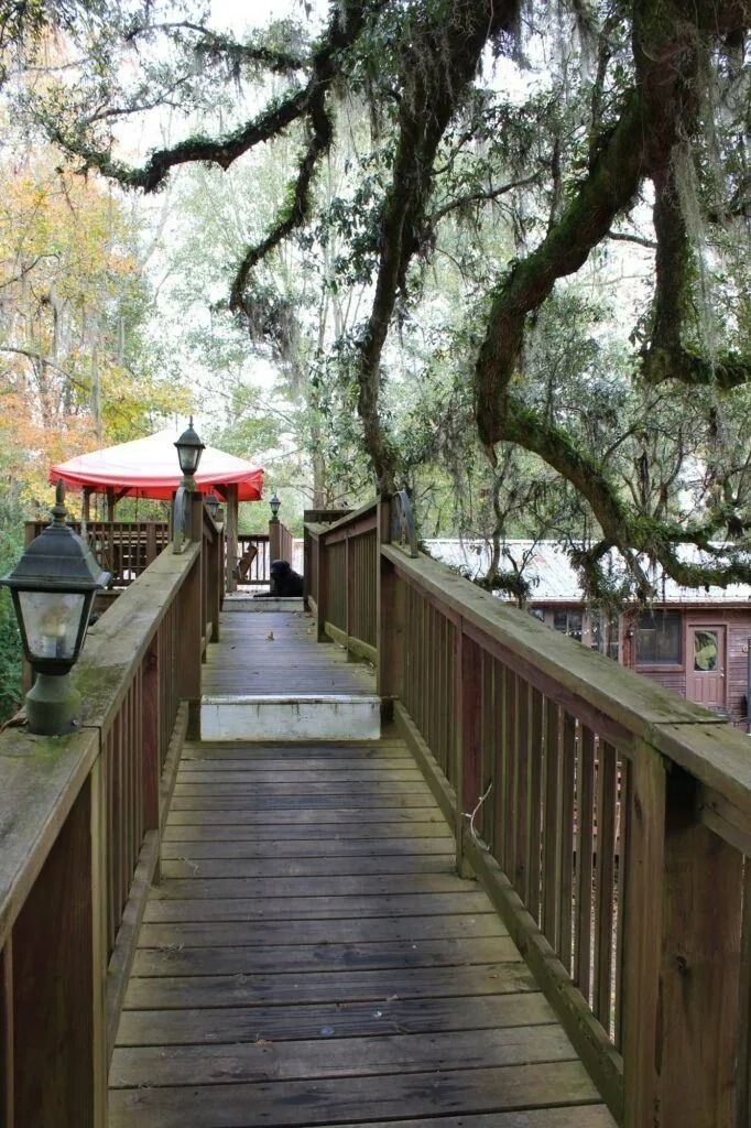 Wooden walkway under mossy trees leading to a deck with red umbrellas and lanterns