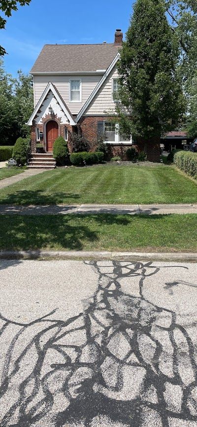 A house with a lush green lawn and a cracked driveway in front of it.