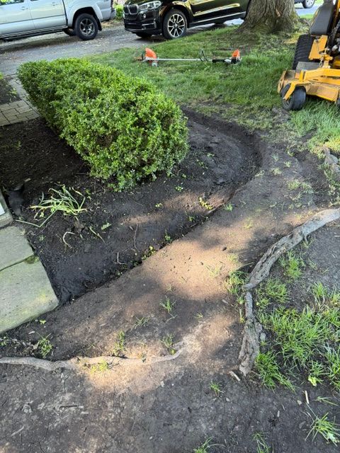 Outdoor yard with a curved dirt path, trimmed hedge, and a yellow excavator near parked cars