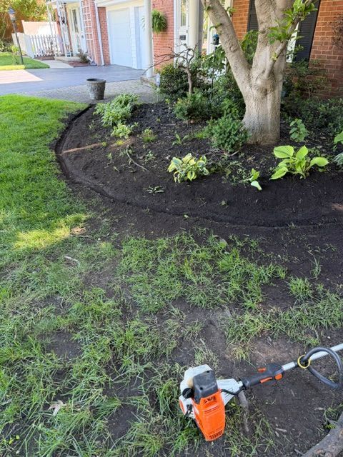 Orange string trimmer on grass beside a mulched tree bed near a house walkway