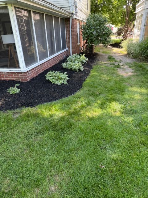 Side yard with house windows, black mulch beds, shrubs, and a grassy path between buildings