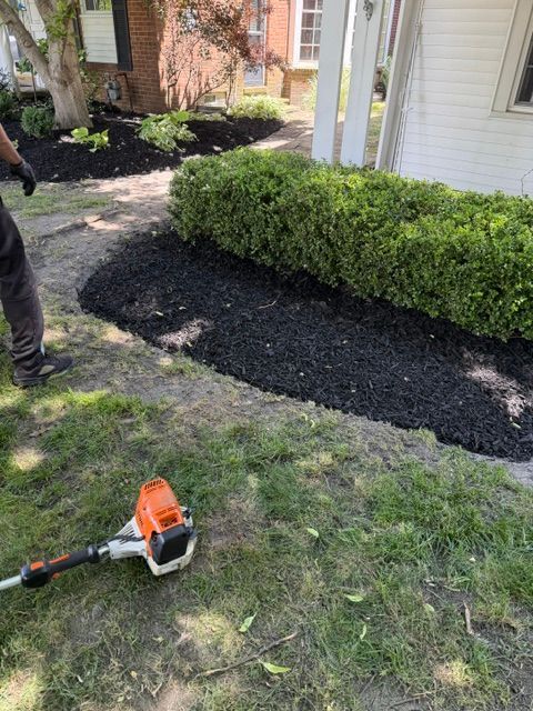 Gardening yard with a hedge, fresh mulch bed, and an orange string trimmer on the grass