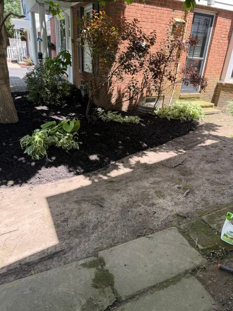 Front yard with mulch bed, shrubs, brick house, and concrete walkway in sunlight