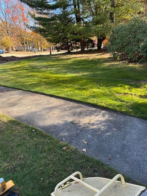 Grassy lawn next to a concrete walkway, with trees and a few cars visible in the background on a sunny day.
