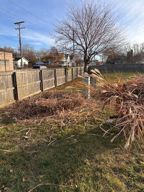 Backyard with a wooden fence, leafless tree, and dried ornamental grasses under a blue sky.