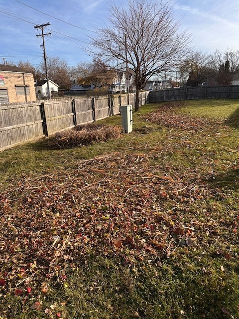 Leaf-covered grassy yard beside a wooden fence, with a leafless tree and utility pole on a sunny day.