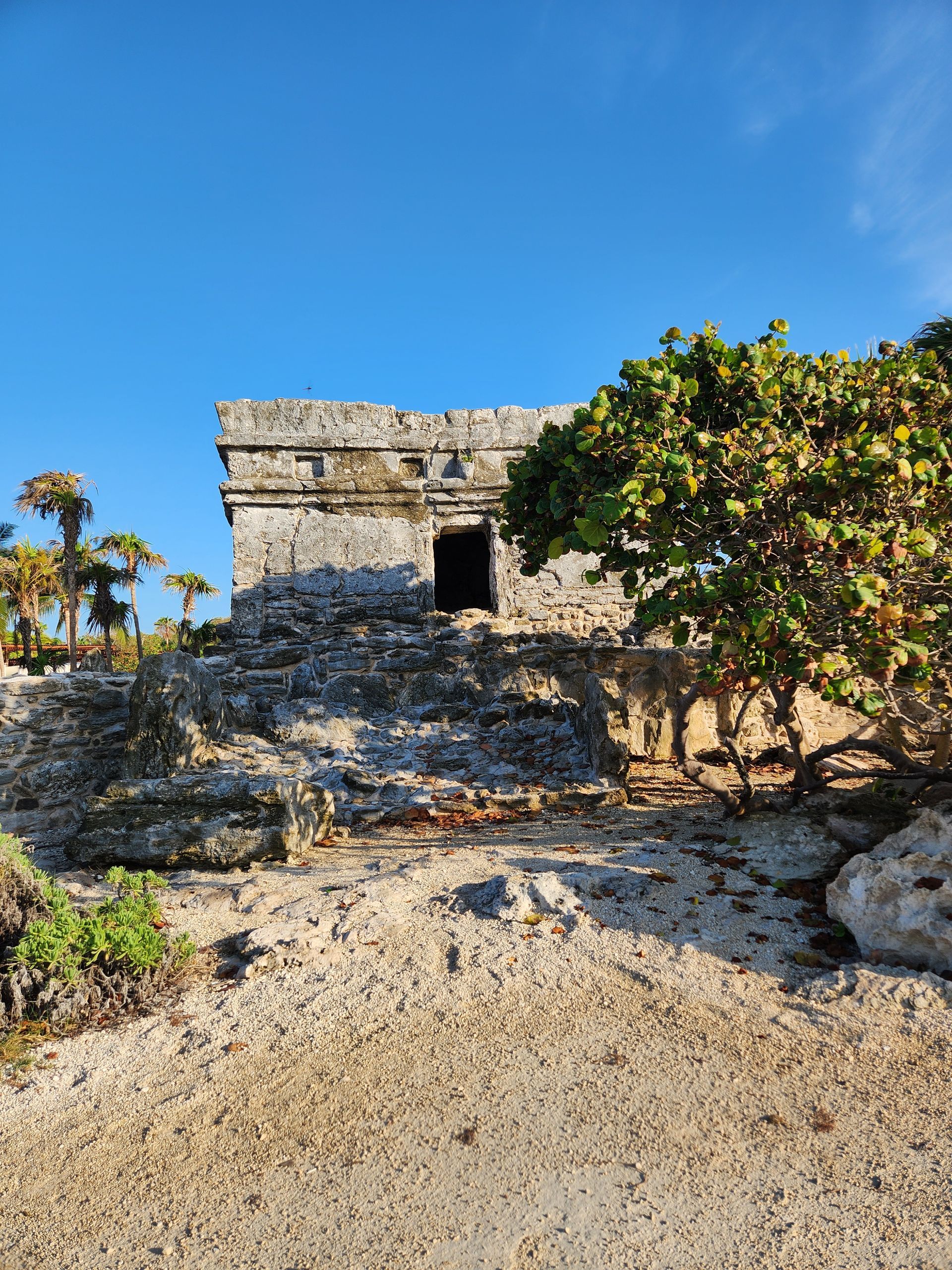 Ancient stone Mayan ruin overlooking a sunny, sandy landscape with greenery under a clear blue sky at Tulum, Mexico.