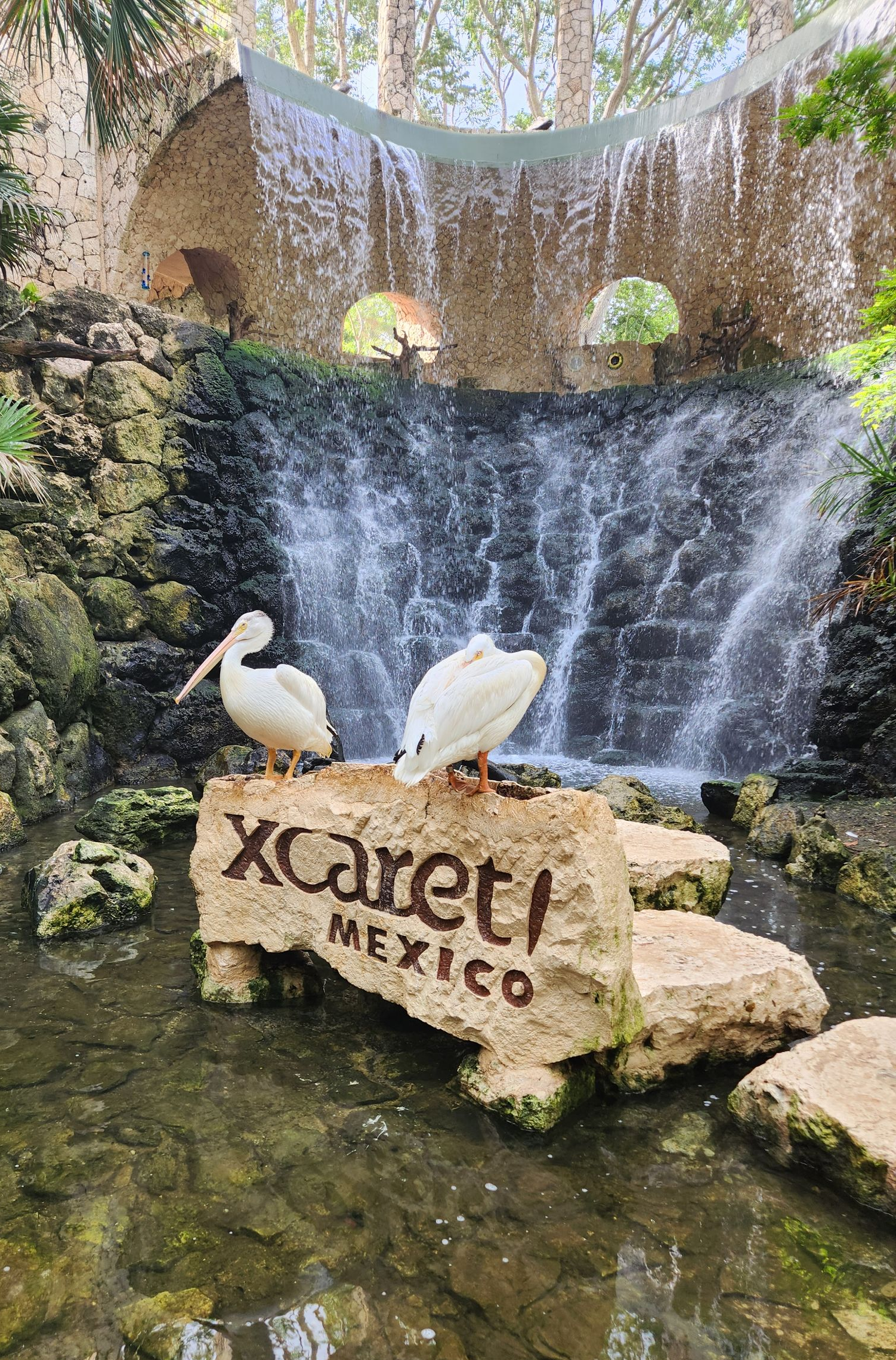 Two white pelicans perch on a stone sign reading 