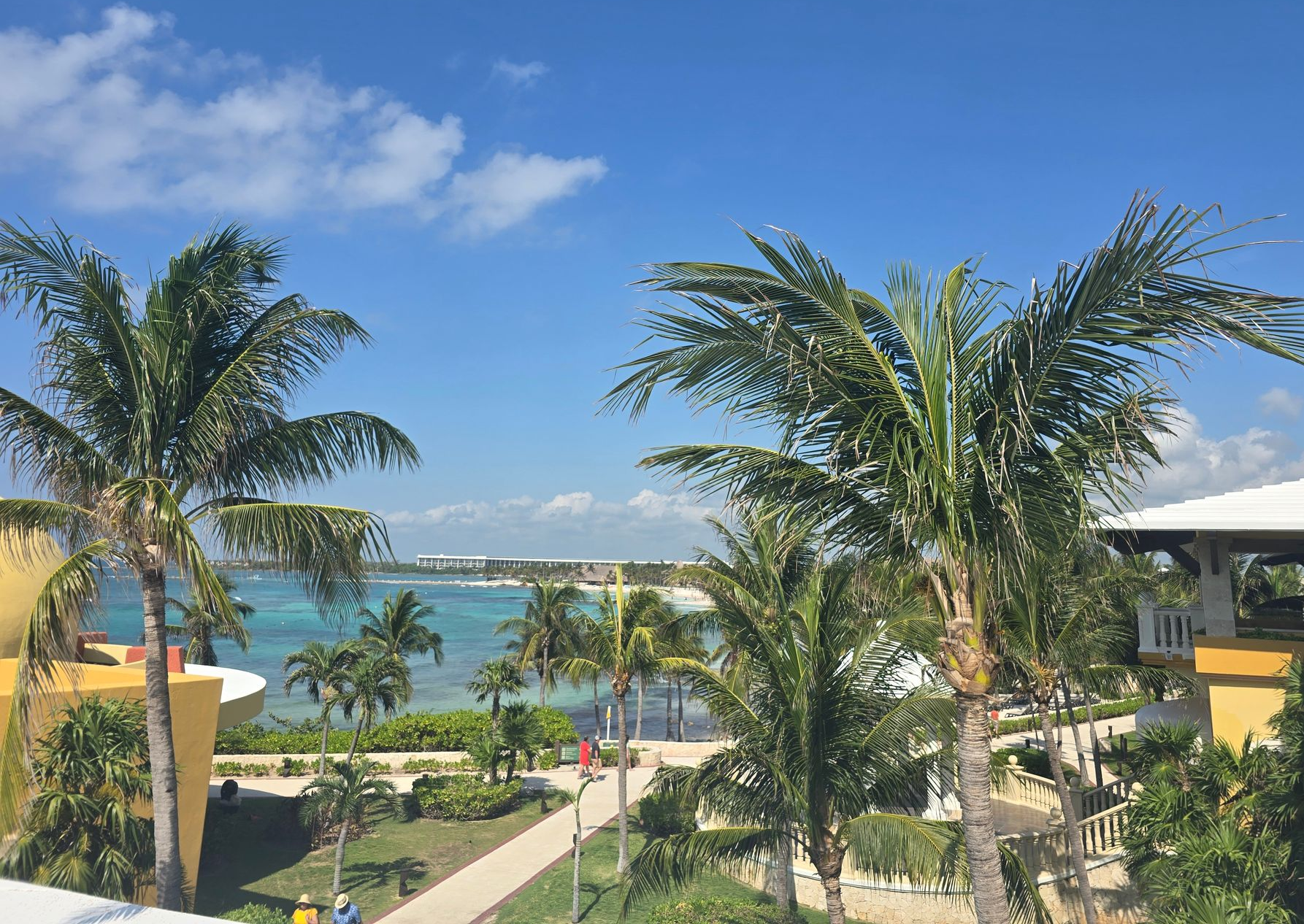 Tropical resort grounds with palm trees, a walking path, and a view of the turquoise ocean under a clear blue sky.