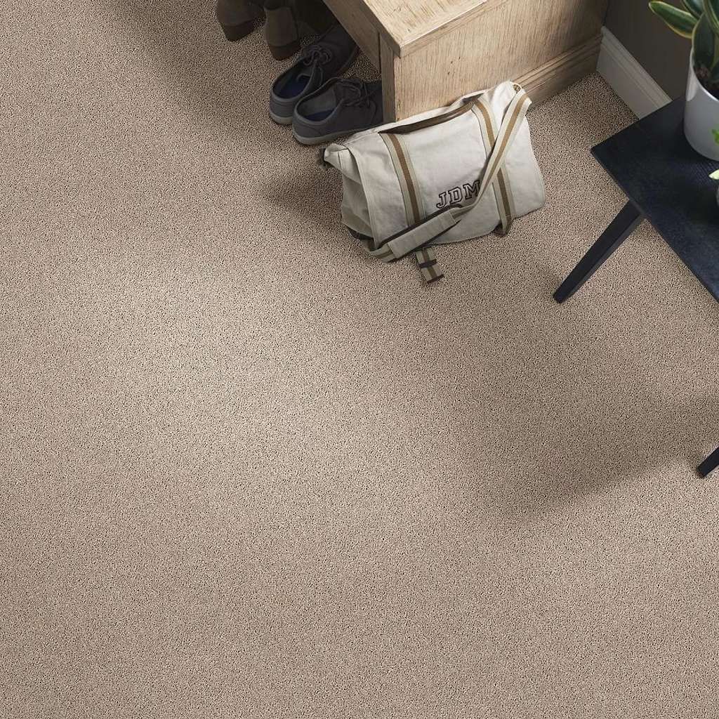 A carpeted floor with a bag and shoes on it.