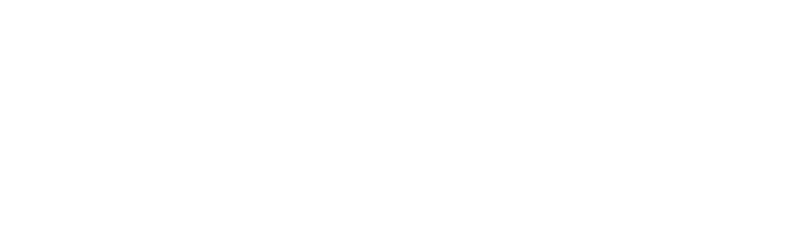 Logo ZRM