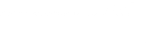 Logo ZRM