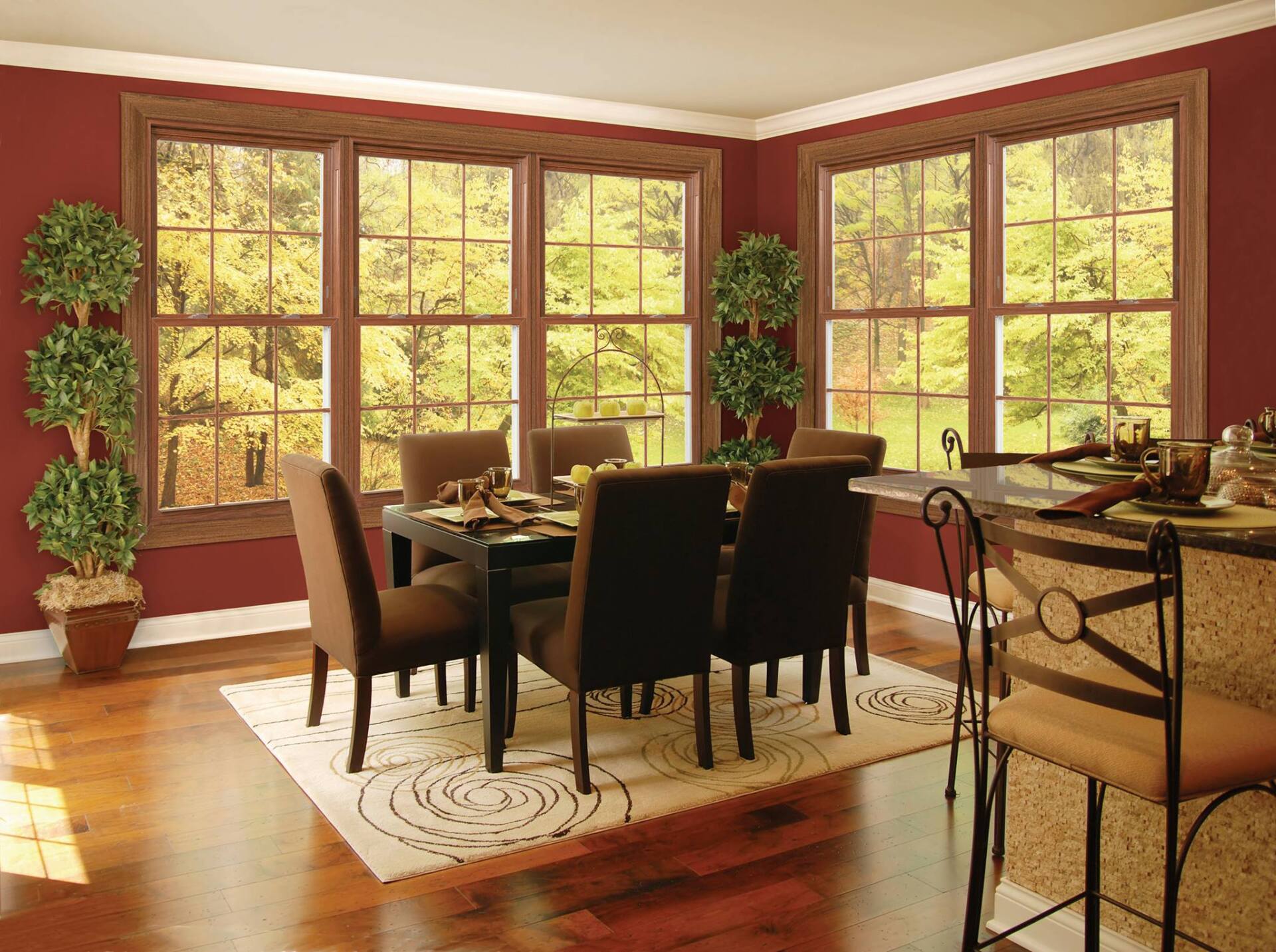 Window and Roof Replacement Better View Windows and More