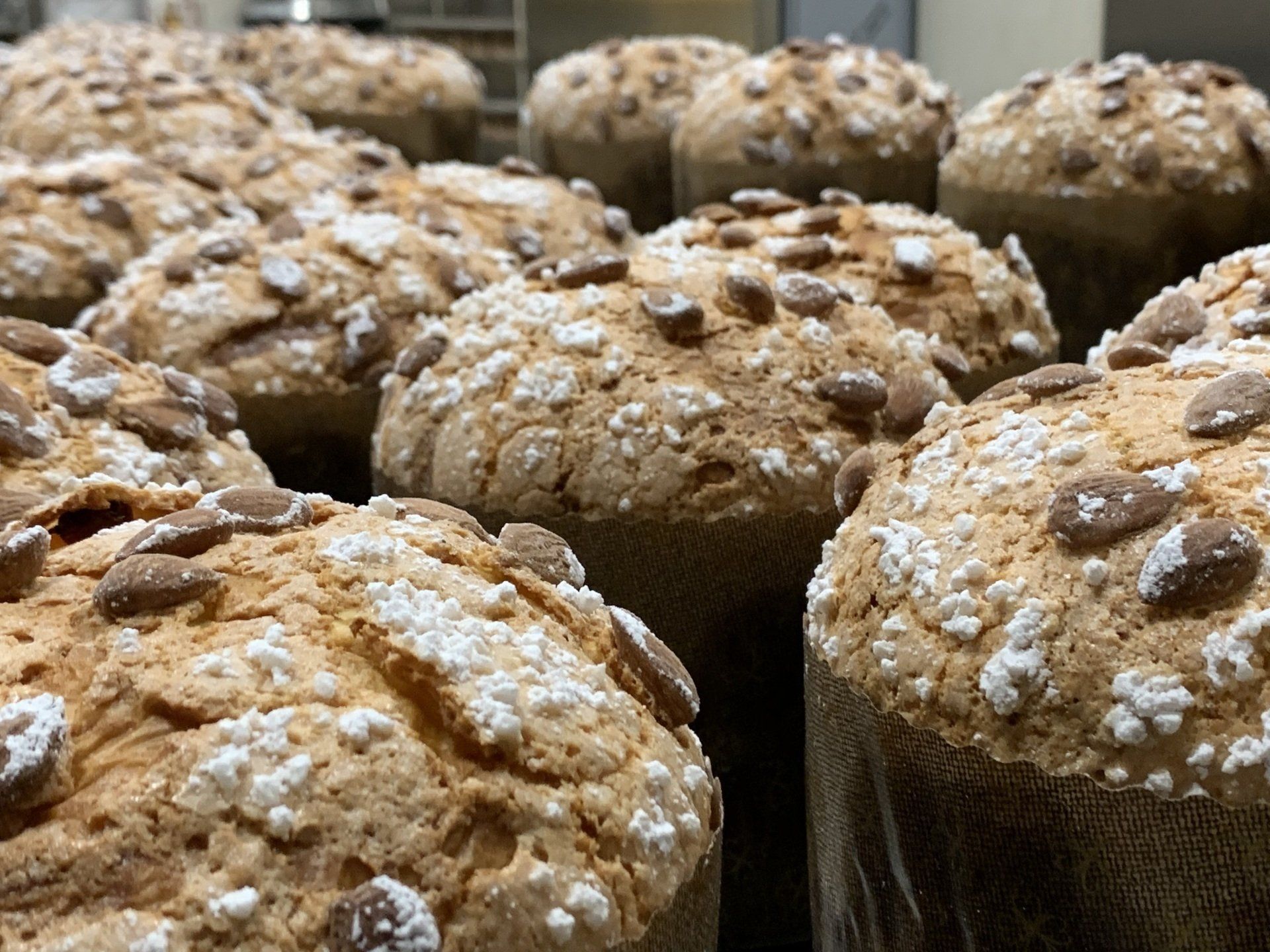 Pasticceria Bicelli Panettoni in lavorazione