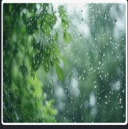 Rain droplets on a window with blurred green leaves in the background