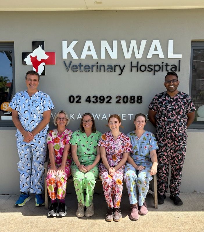 Six staff members in colorful patterned scrubs stand and sit smiling in front of the Kanwal Veterinary Hospital sign. — Kanwal Veterinary Hospital In Kanwal, NSW