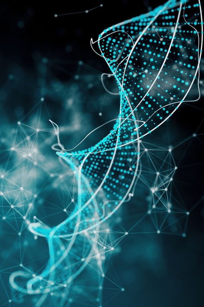 DNA Strand — Kanwal Veterinary Hospital In Kanwal, NSW