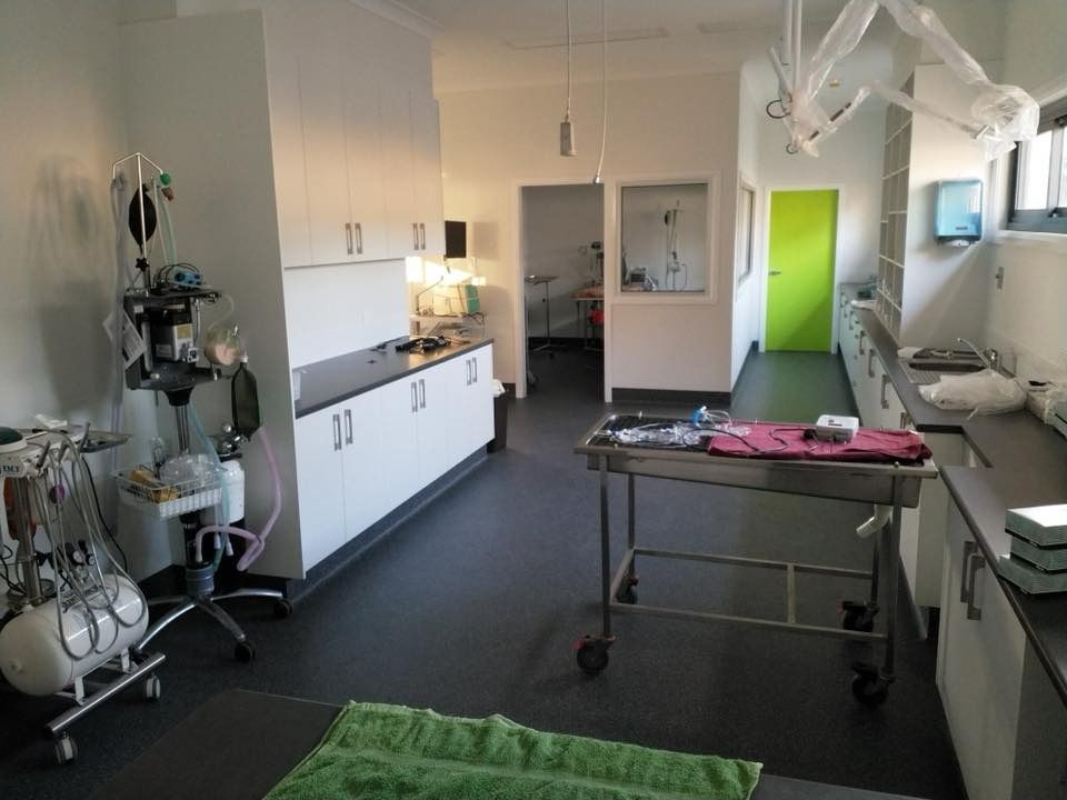 A Surgical Room With a Green Door and a Stainless Steel Table — Kanwal Veterinary Hospital In Kanwal, NSW