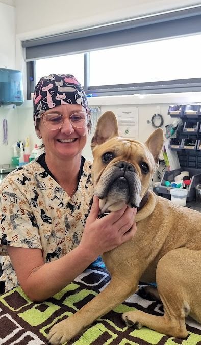 A Woman is Holding a French Bulldog on a Bed — Kanwal Veterinary Hospital In Kanwal, NSW