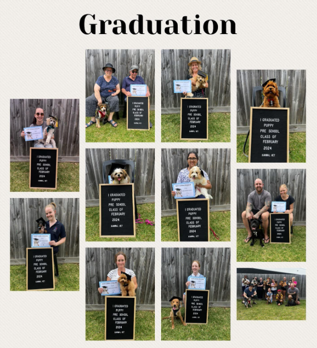 A collage of pictures with the words graduation on top — Kanwal Veterinary Hospital In Kanwal, NSW